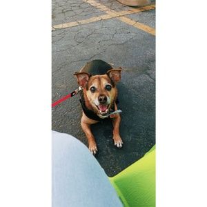 Meet your Posher, Fanny